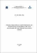 Imagem de Miniatura